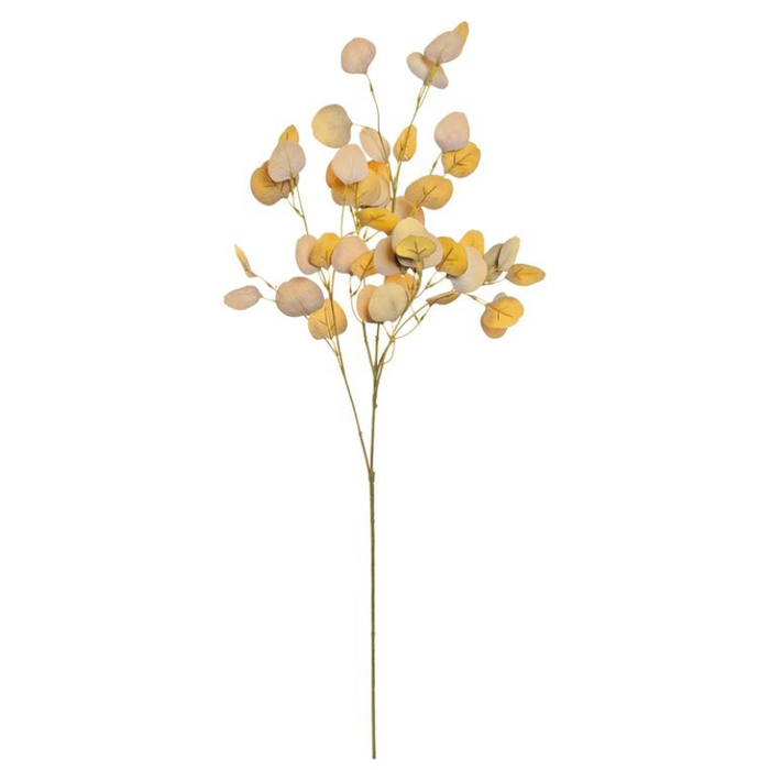 Eucalyptus Spray Beige - 40"