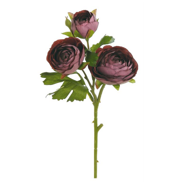 Ranunculus Pick Burgundy - 13"