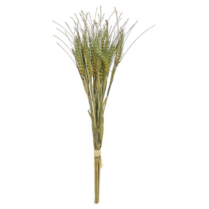 Barley Bundle Green - 25"