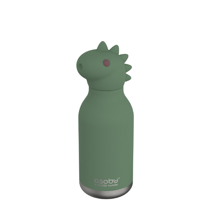 Dinosaur Stainless Steel Water Bottle - 16 oz