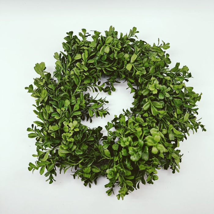 Boxwood Wreath w/ grapevine backing - 16"