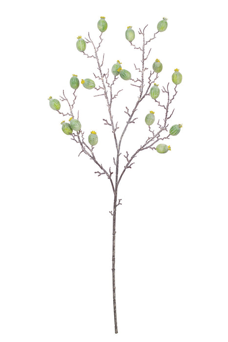 Green Seed Twig - Botanica # 3121