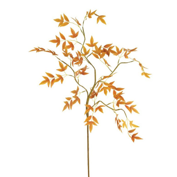 Autumn Ember Branch