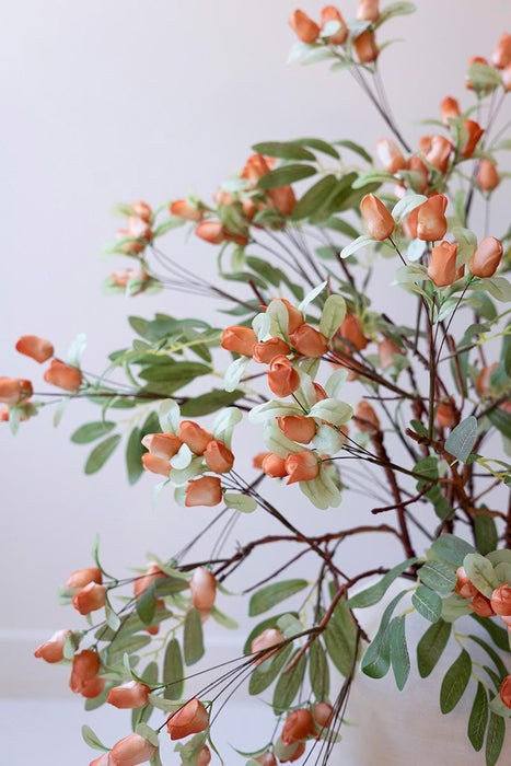 Peach & Thyme - Botanica #3516