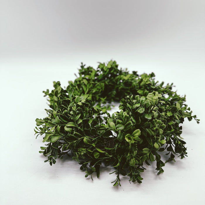 Boxwood Wreath w/ grapevine backing - 16"