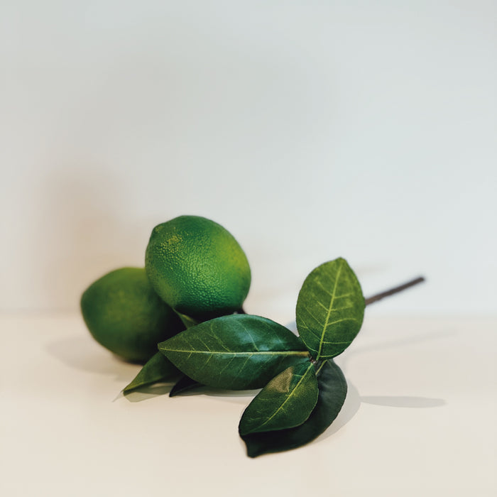 Decorative Lime Stem - 8.5"