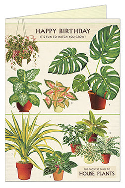 Happy Birthday House Plants Card