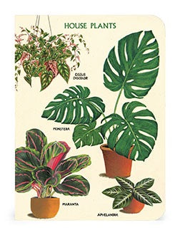 House Plants Notebook