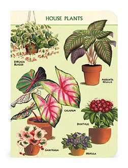 House Plants Notebook