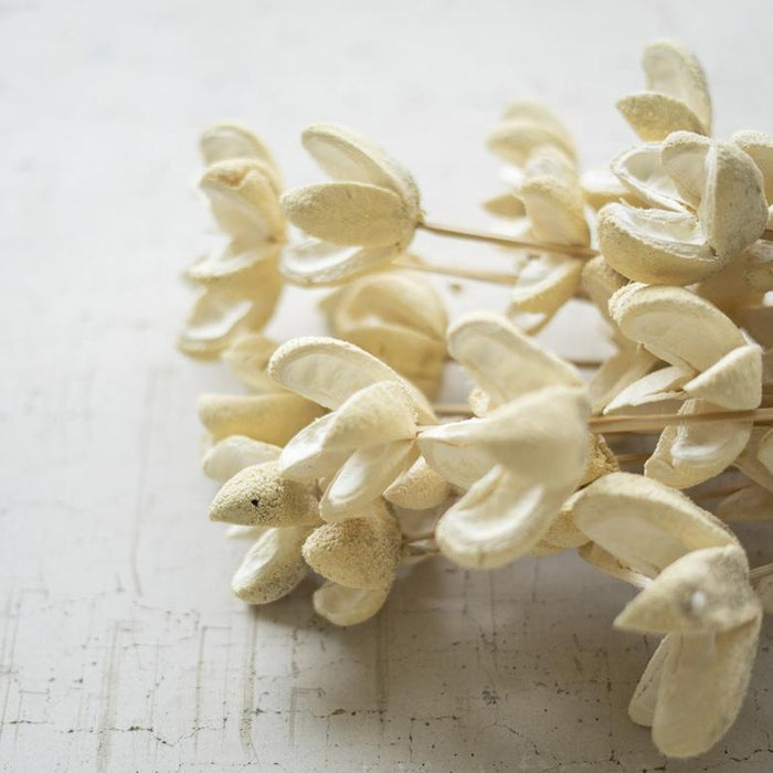 Bullet Flowers on Stems