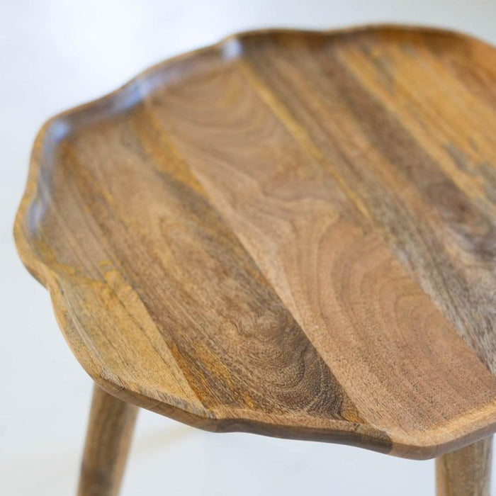 Organic Wood Accent Table