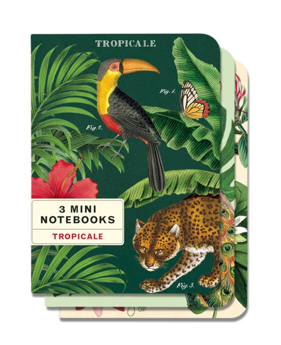 Tropicale Mini Notebook