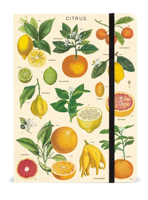 Large Citrus Notebook