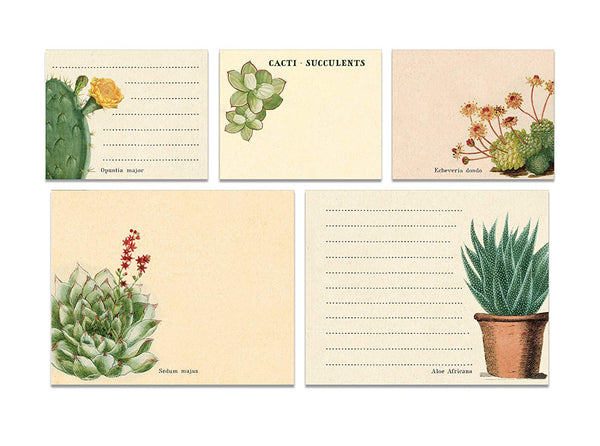 Cacti & Succulents Sticky Note