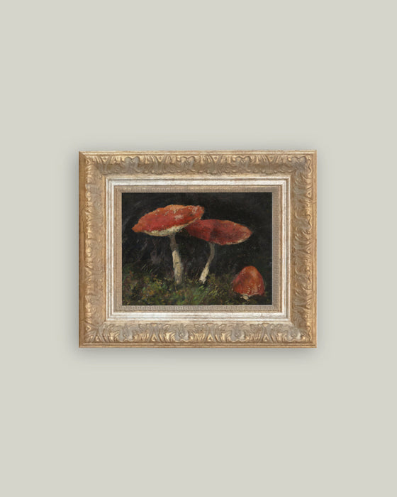 Vintage Mushrooms Framed Print - 9x7