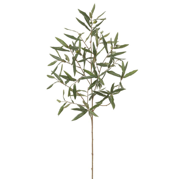 Olive Branch - 45"
