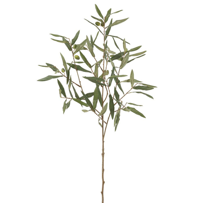Olive Branch - 35"