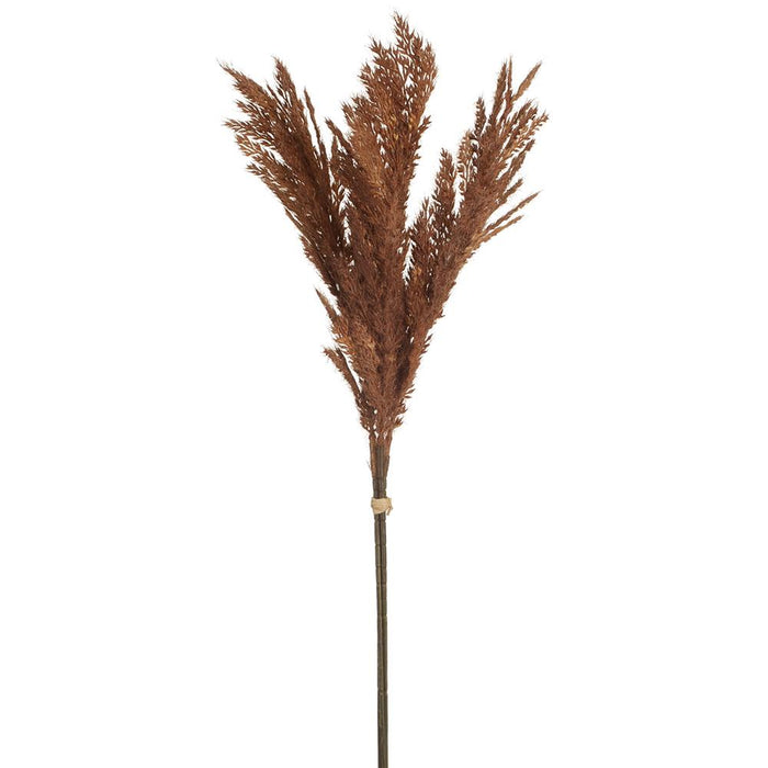 Brown Flocked Pampas Bundle of 3 - 26"