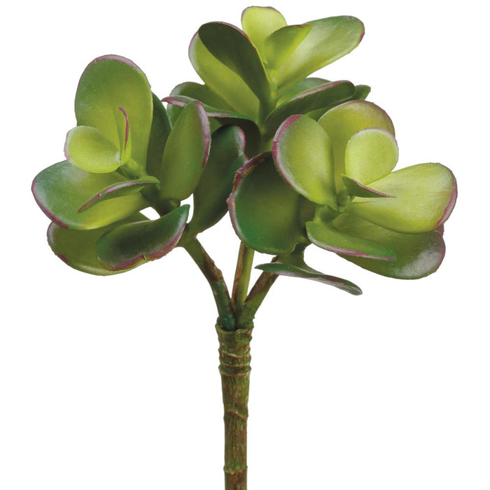 Jade Succulent Pick - 6.5"