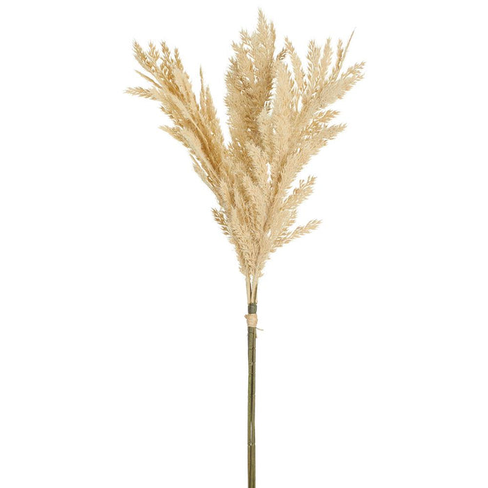 Light Brown Flocked Pampas - 26"