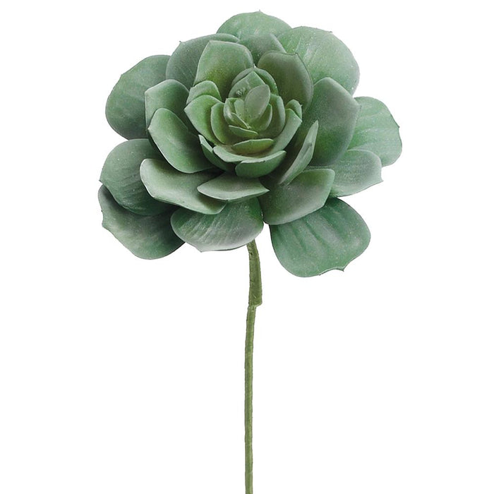 Echeveria Succulent Bouquet Pick - 9.5"
